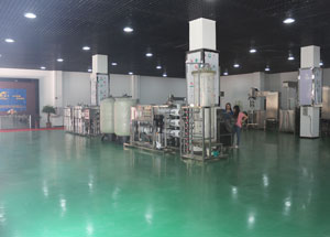 R&D Capability