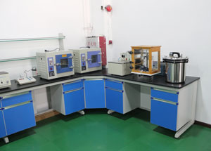 R&D Capability
