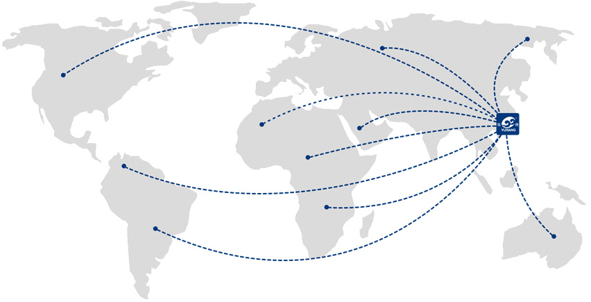 OVERSEA STRATEGY